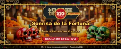 Depósitos Rápidos y Seguros banner image